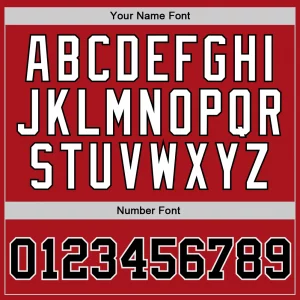 Customizable Chicago Bulls NBA Jersey - Image 2